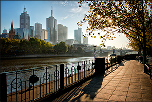 In Morning Light